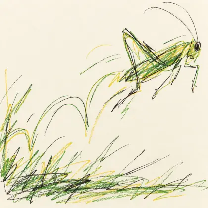 R-p-o-p-h-e-s-s-a-g-r - poem by - E. E. Cummings