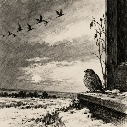 Tis Not That Dying Hurts Us So - poem by - Emily Dickinson