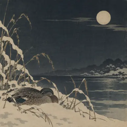 Cold Night: the Wild Duck - poem by - Matsuo Basho