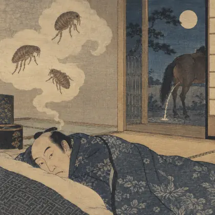 Fleas, Lice - poem by - Matsuo Basho
