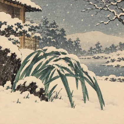 The Snow - poem by - Matsuo Basho