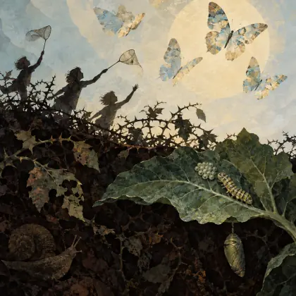 Butterflies - poem by - Rudyard Kipling